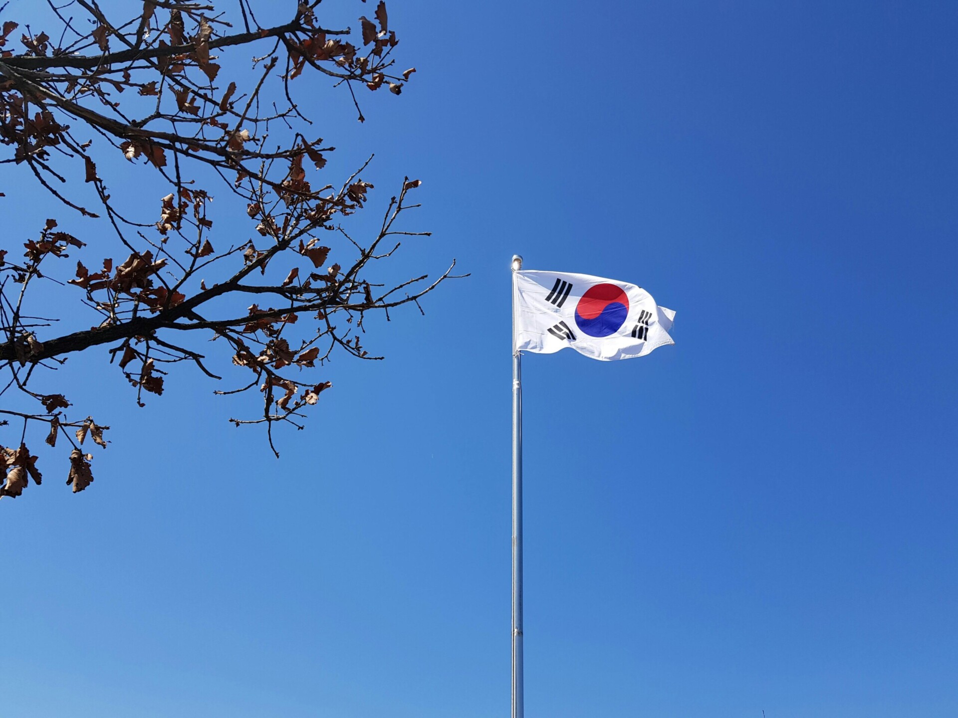 pexels-byunghyun-lee-247864074-14774580